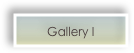 Gallery I