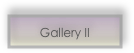Gallery II 
