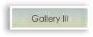 Gallery III 